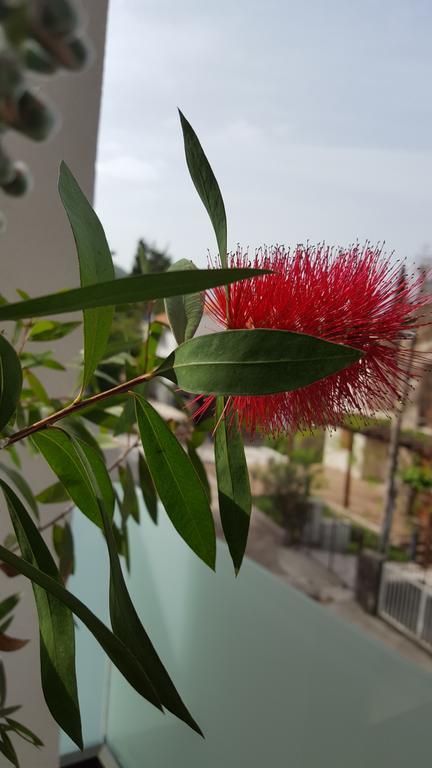 Guesthouse Laterna Herceg Novi Dış mekan fotoğraf